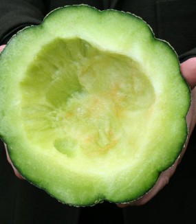 Le Melon de Montréal